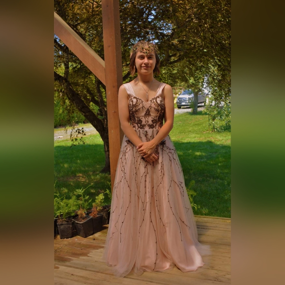Grad Prom Embroidered & Beaded Gown. Pink w Brown Stunning!